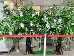 -中国中医科学院望京医院(院本部)