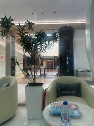 -agge蛋白医美
