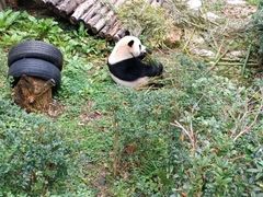 -黔灵山公园