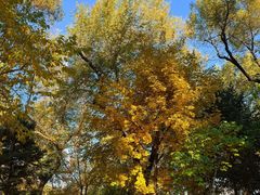 -哈尔滨文化公园