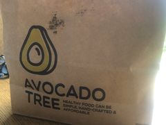 -油梨树AVOCADO TREE(望京店)