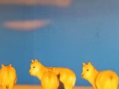 -中国湿地博物馆