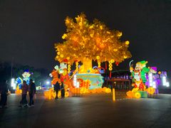 -武汉园博园(武汉自然博物馆)