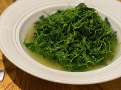 金花菜-新梅华(太仓万达店)