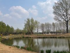 -东郊湿地公园
