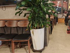 -周记老沈阳焦火鸡架