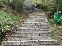 -汤旺河林海奇石景区
