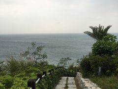 -东澳岛