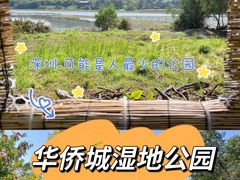 -华侨城湿地公园