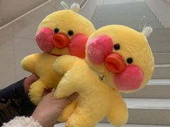 -Apple零售店(苏州店)