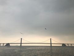 -星海湾跨海大桥