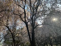 -洨河生态公园