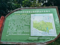 -海南热带雨林国家公园吊罗山景区