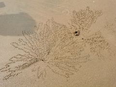 -小皓村