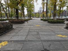 -百林公园-两江幸福广场