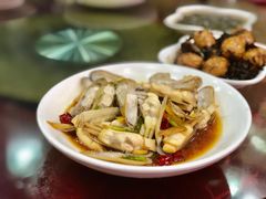 -红灯笼龙凤饭店(宁波老字号店)