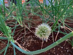 -迪茵湖田家舍生态农场