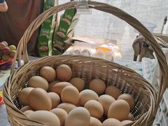 -马陆小张葡萄园农家乐