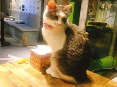 -小时光咖啡馆(开森度假森林店)