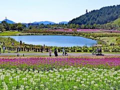 -径山花海