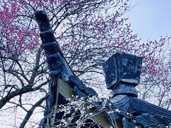 -杭州植物园