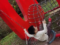 -东平国家森林公园