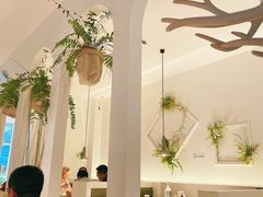 大堂-春树下·树屋花房西餐厅(罍街AS1980店)