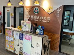 -美联众合宠物医院·爱萌分院·内外科·猫科中心