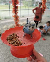 -萌宠亲子动物乐园(槐房万达店)