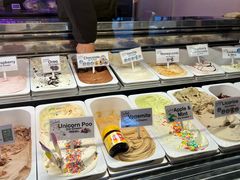 -Dooley's Premium Ice Cream