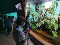 -太平洋海底世界餐厅