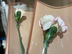 -潮汕三宝鲜牛肉火锅