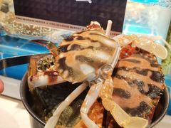 -渔纬港海鲜自助餐厅(湖里万达店)