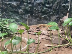 -动物园(地铁站)