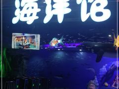 -梦幻海洋王国(吾悦广场张家港店)