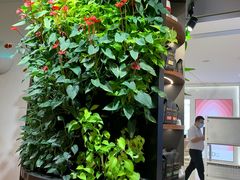 -Peet's Coffee皮爷咖啡(德基店)