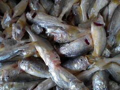 -浪琴湾尾角仔海鲜坊