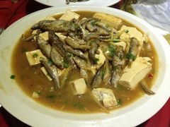 小河鱼豆腐-才佬饭店