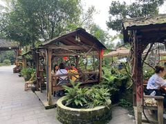 -青城甲(青城山店)