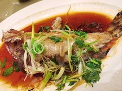 -沙龙酒家