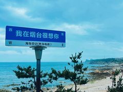 -海岛日记(养马岛店)