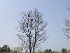 -良渚古城遗址公园