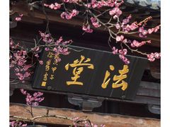 -广富林郊野公园