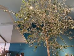 -Seesaw Coffee(深圳万象天地店)