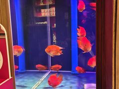 -小吊梨汤·北京菜·烤鸭(清河万象汇店)