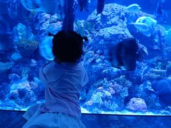 -成都浩海立方海洋公园