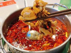 -蛙两只美蛙鱼头火锅(恒茂店)
