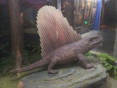 -国家自然博物馆