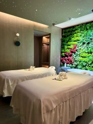 -VELEE·SPA高定疗愈会所