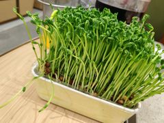 -海底捞火锅(奥森店)